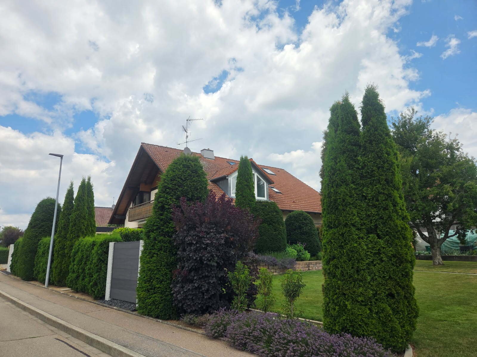 Gesamte Einheit